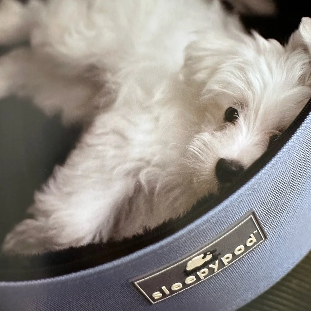 #103 Sleepypod Mini Brown for 3.3 dog. EUC